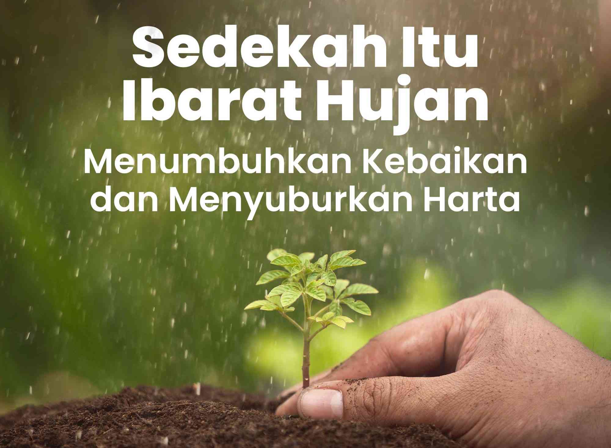 Sedekah: Kunci Bahagia Dunia dan Akhirat